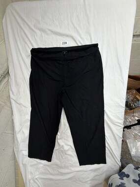 Eileen Fisher Women's Black Stretch Pull-On Ankle Pants Plus Size 1X